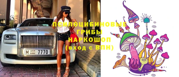 спиды Алзамай