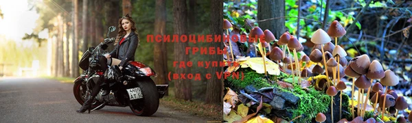 дмт Аркадак